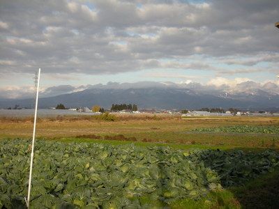 会津活・活自然村.JPGのサムネール画像